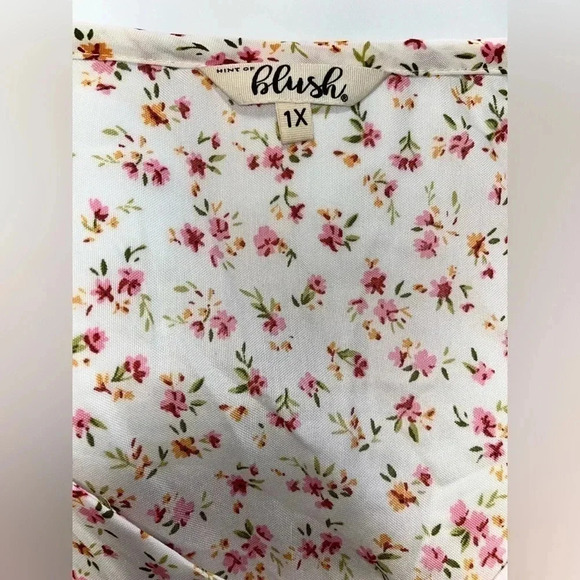 Hint of Blush Roses and Ruffles Dress Size 1X - Picture 4 of 5